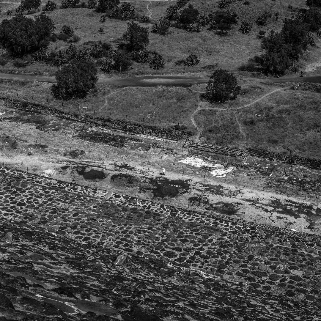 One man walking &ldquo;in the middle&rdquo; of nowhere with a white shirt.
Mexico 2016
#omarcruzphoto #strangers #leicamonochrome #leica #mexico #piramidedelsol