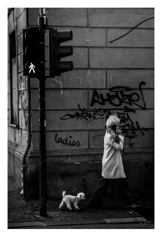Stranger---dog-companion.jpg