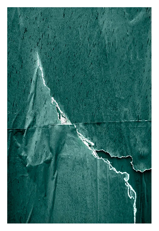 Green-poster-rip2.jpg