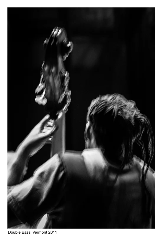 Double-bass.jpg
