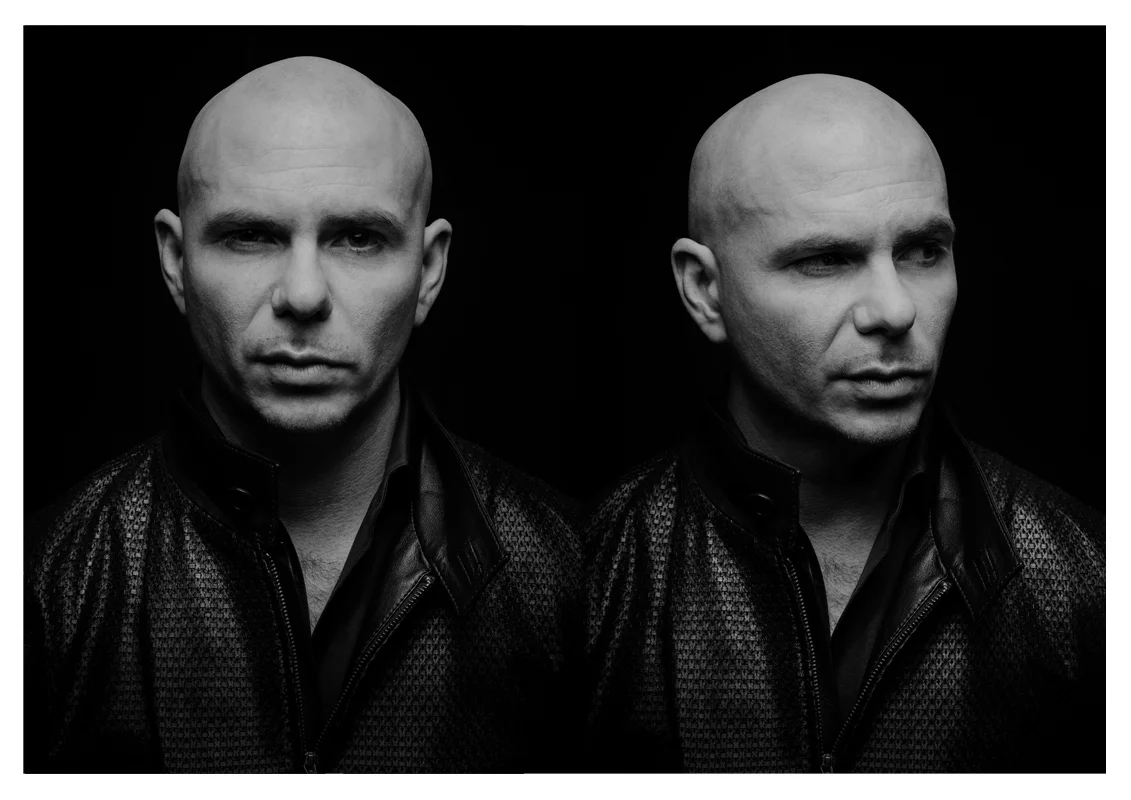 Pitbull-2-head.jpg