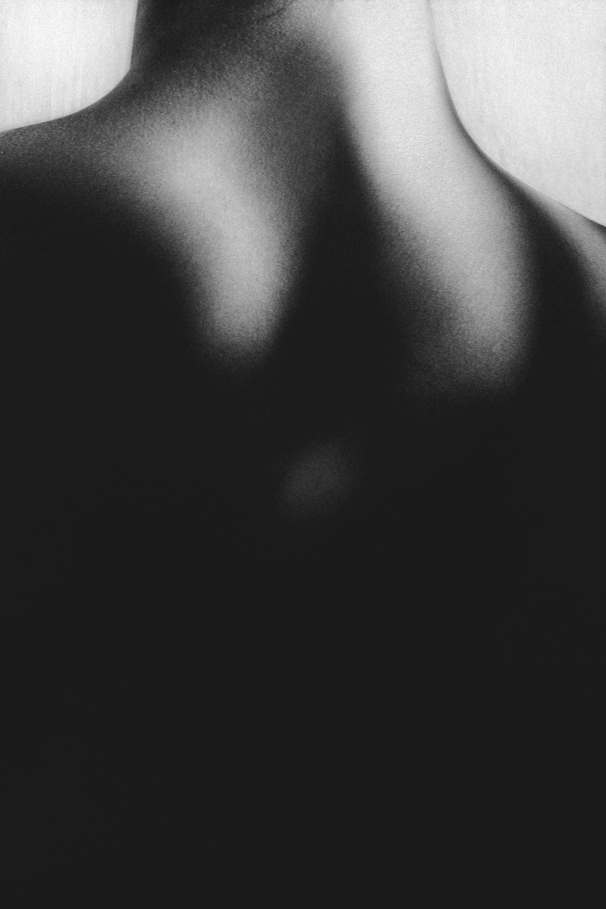 Sarah Akiba 20200616-1601 Final Print File Low Res.jpg