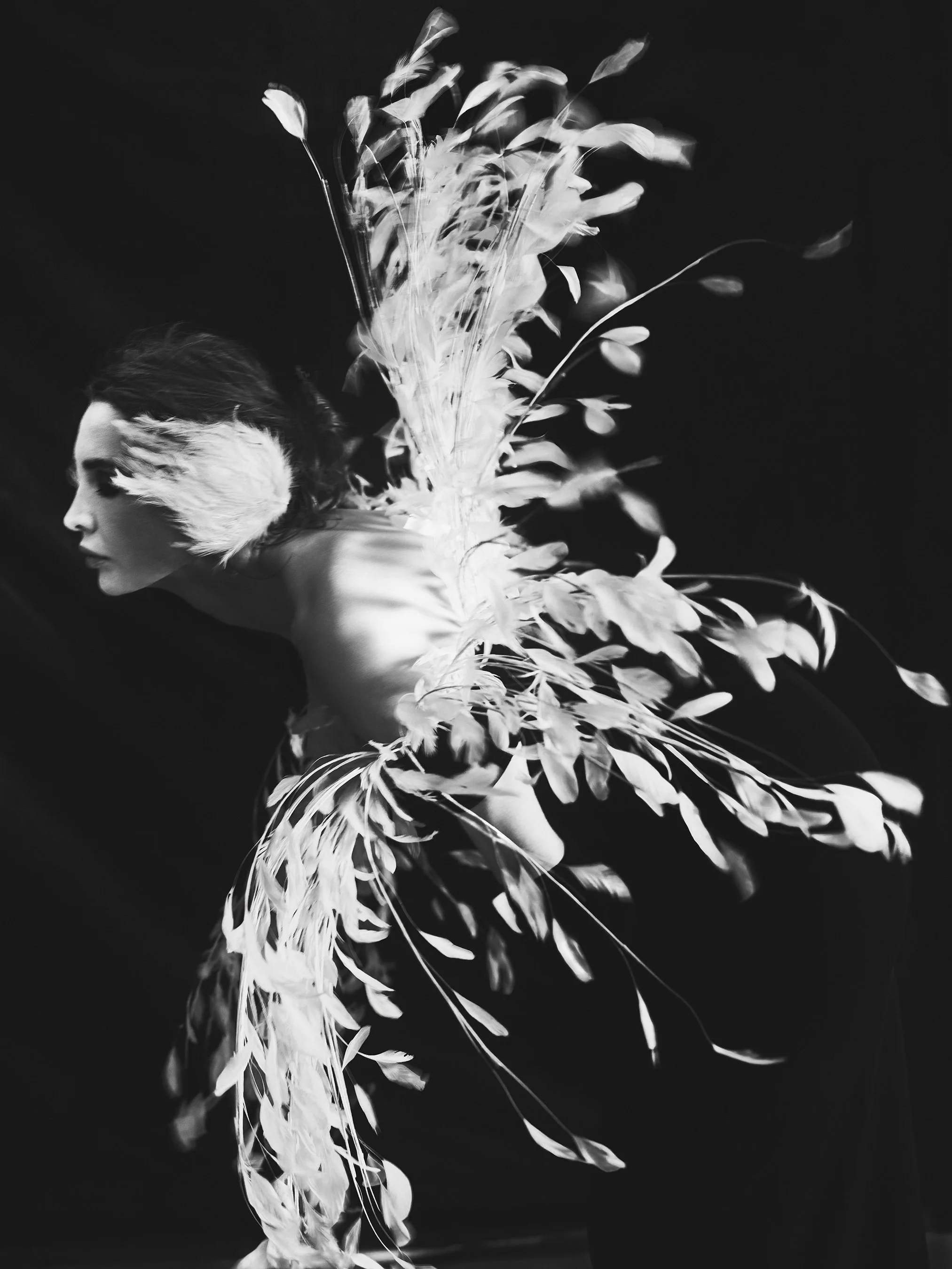 The Bloom 20240910-125 Print File Low Res.jpg