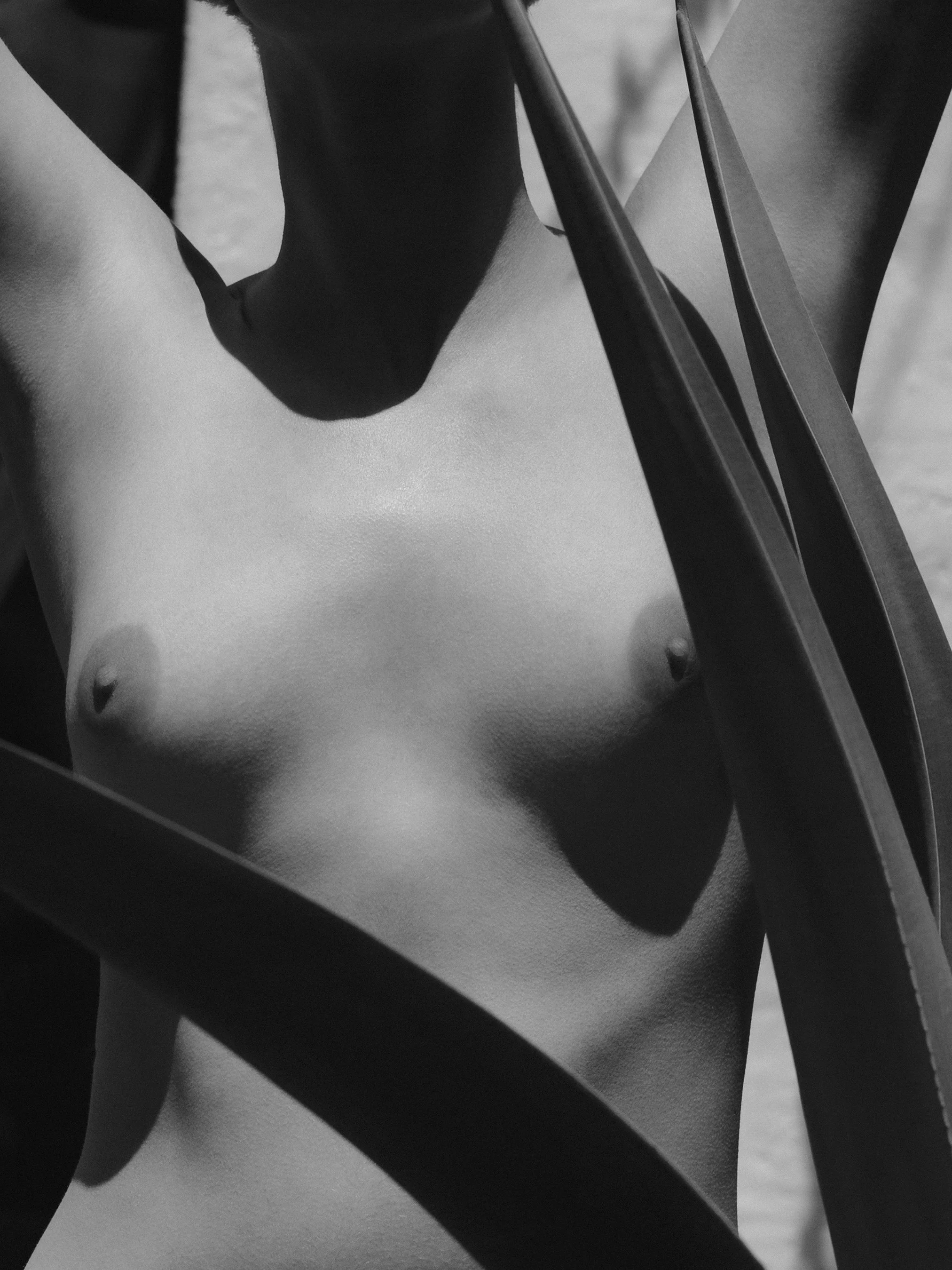 L1002401 Final Print File Low Res.JPG