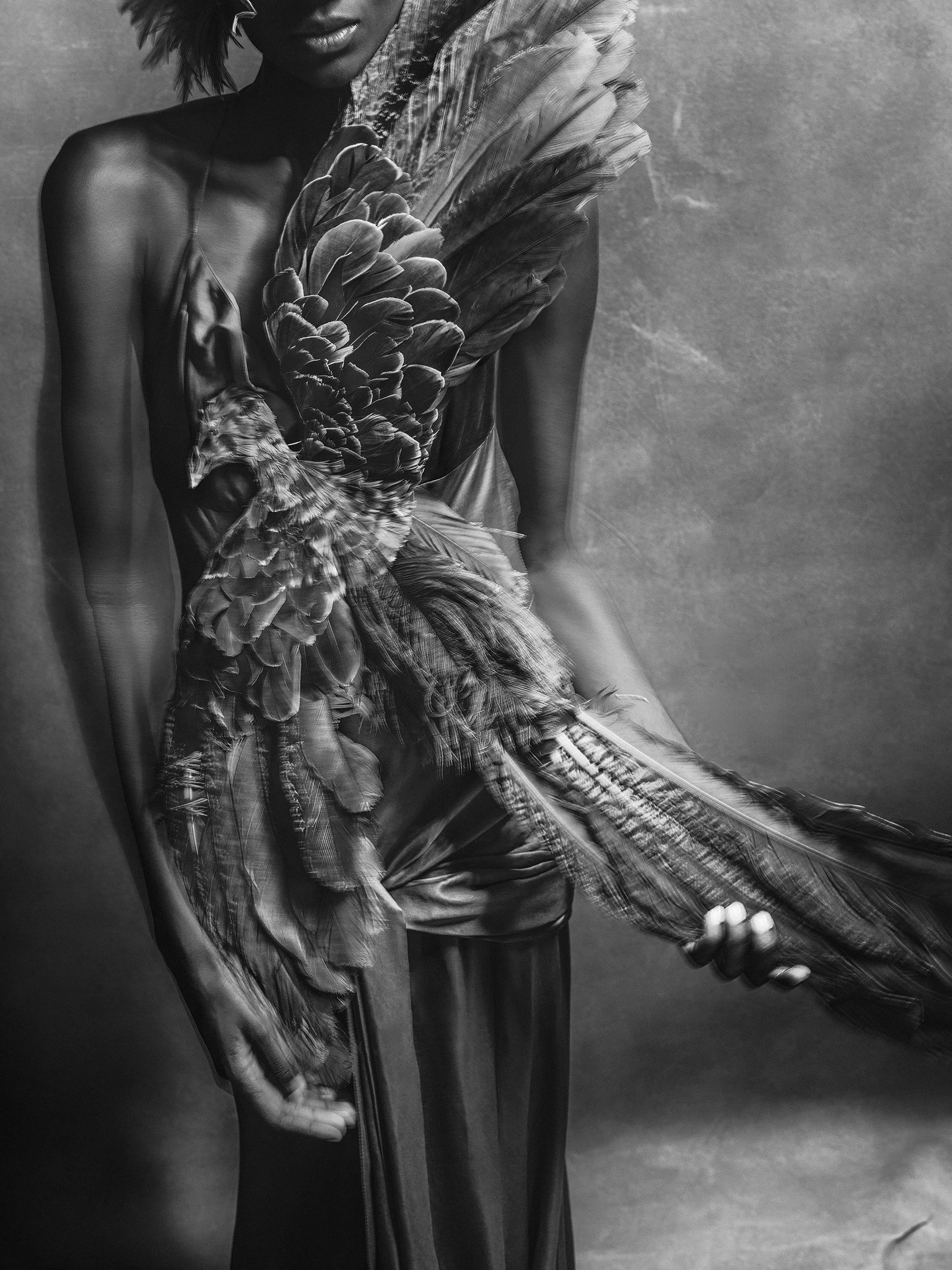 20250328-315 Final Print File Low Res.JPG