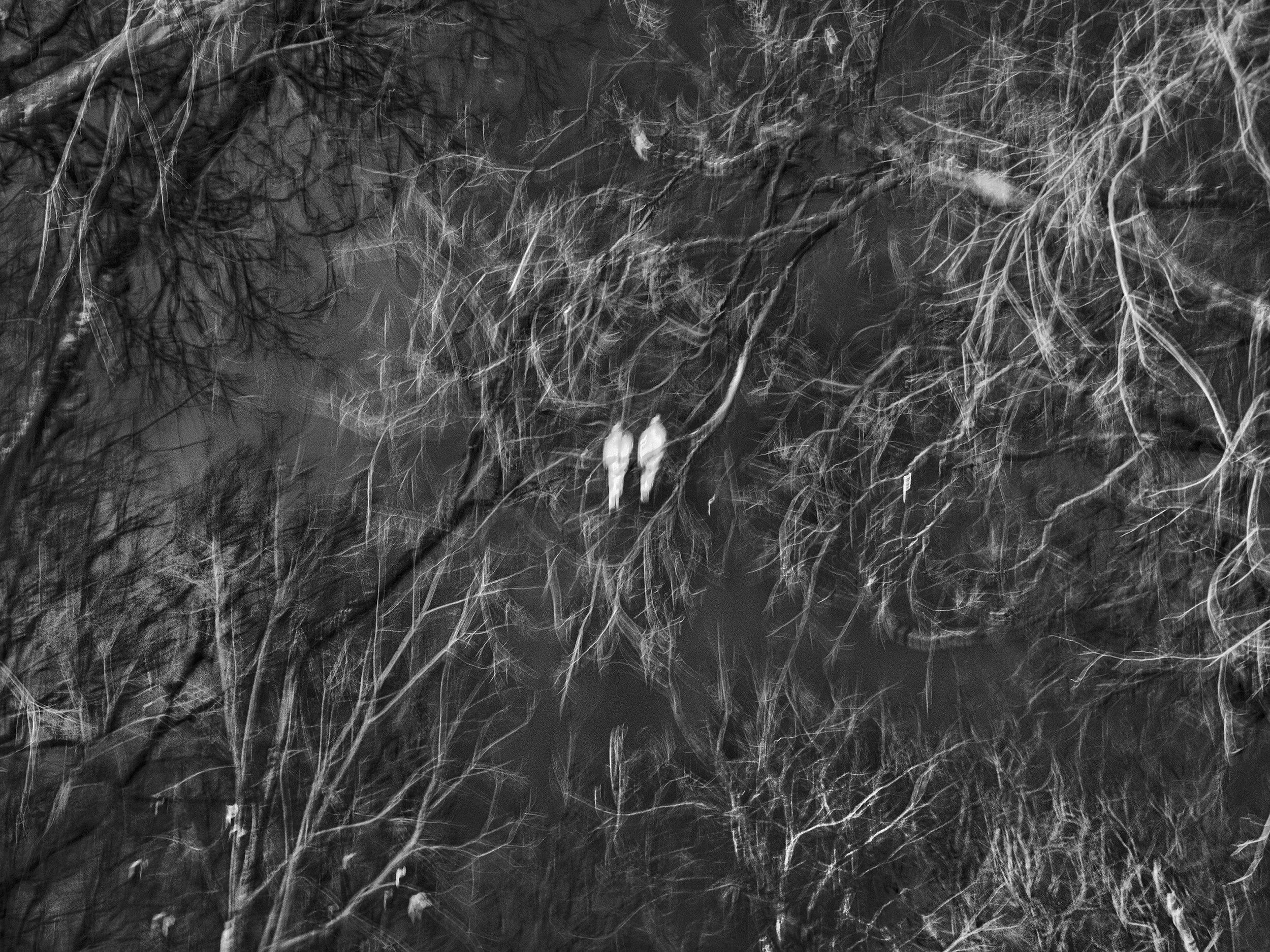 20250126-120 Final Print File Low Res.JPG