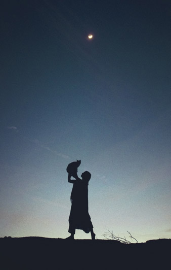 Untitled (Crescent Moon Cat).jpg