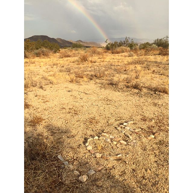 The Unshakeable Foundation
☀️⚡️✨
Leo season started off in the desert with another (!) earthquake, thunder, lightning, and rain all within one day. As the week continued we experienced even more water pouring from above, more electricity in the sky, 