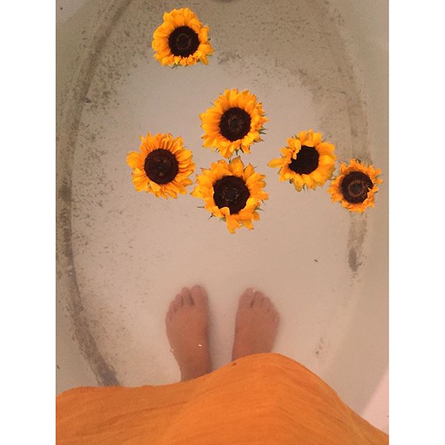 Two of my favorite medicines for instant joy: Sunflowers + daily outdoor cold plunge baths pre-sunrise. Of my many healing practices + tools + medicines, these two in particular are remarkable in how they each immediately transmute stagnant energy an