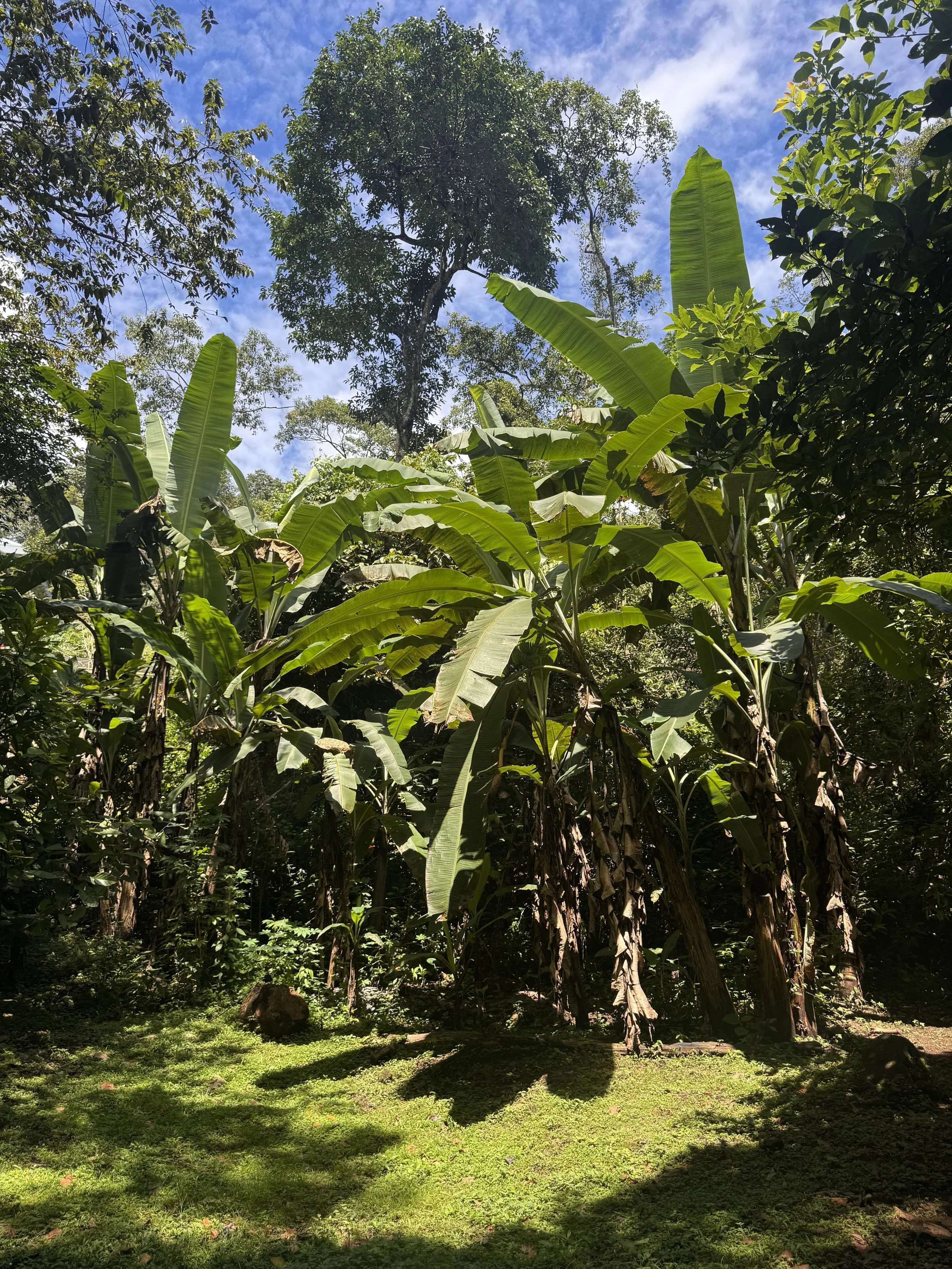 IMG_3063.jpeg