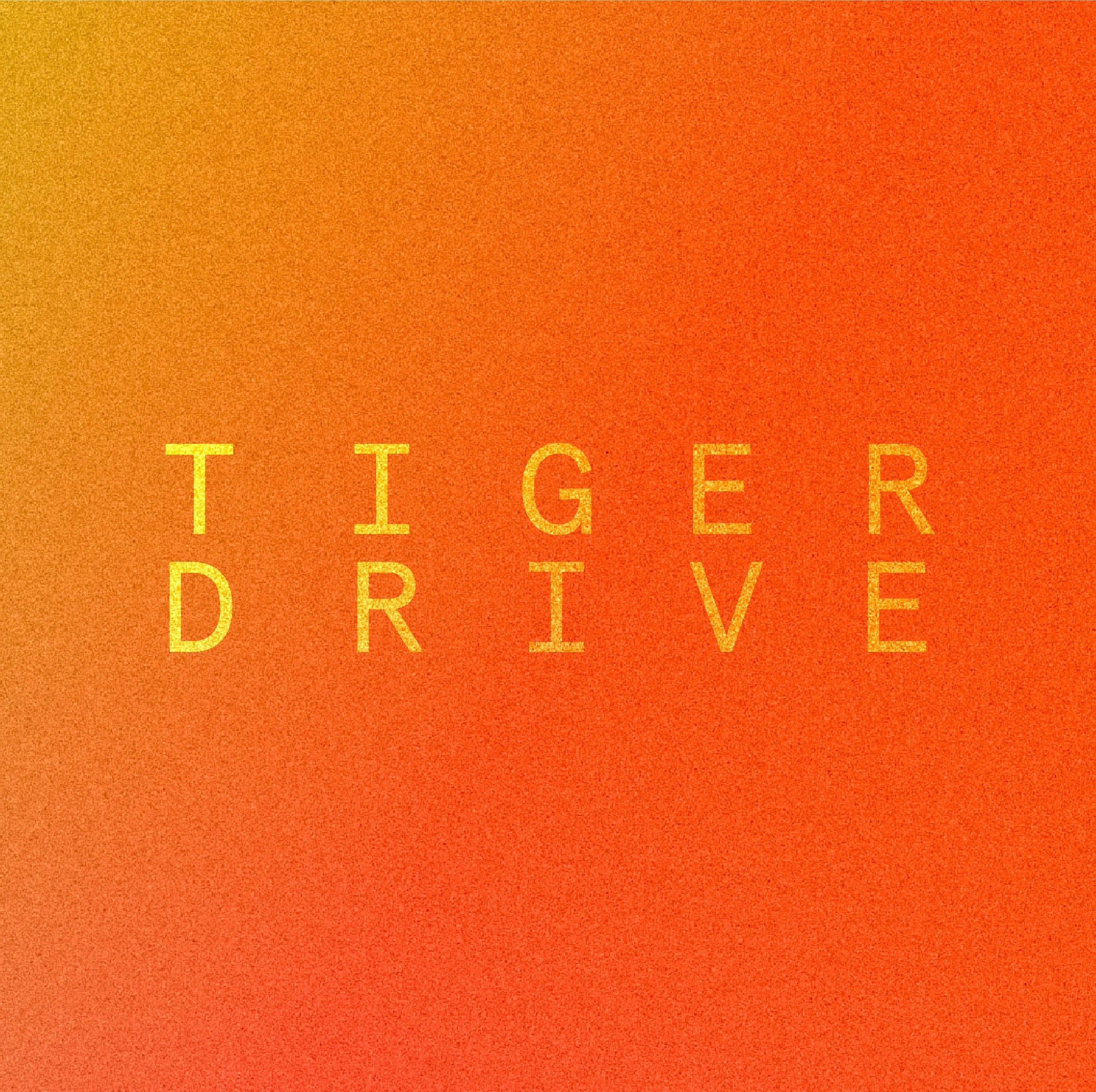 tiger drivetogether copy 9.jpg