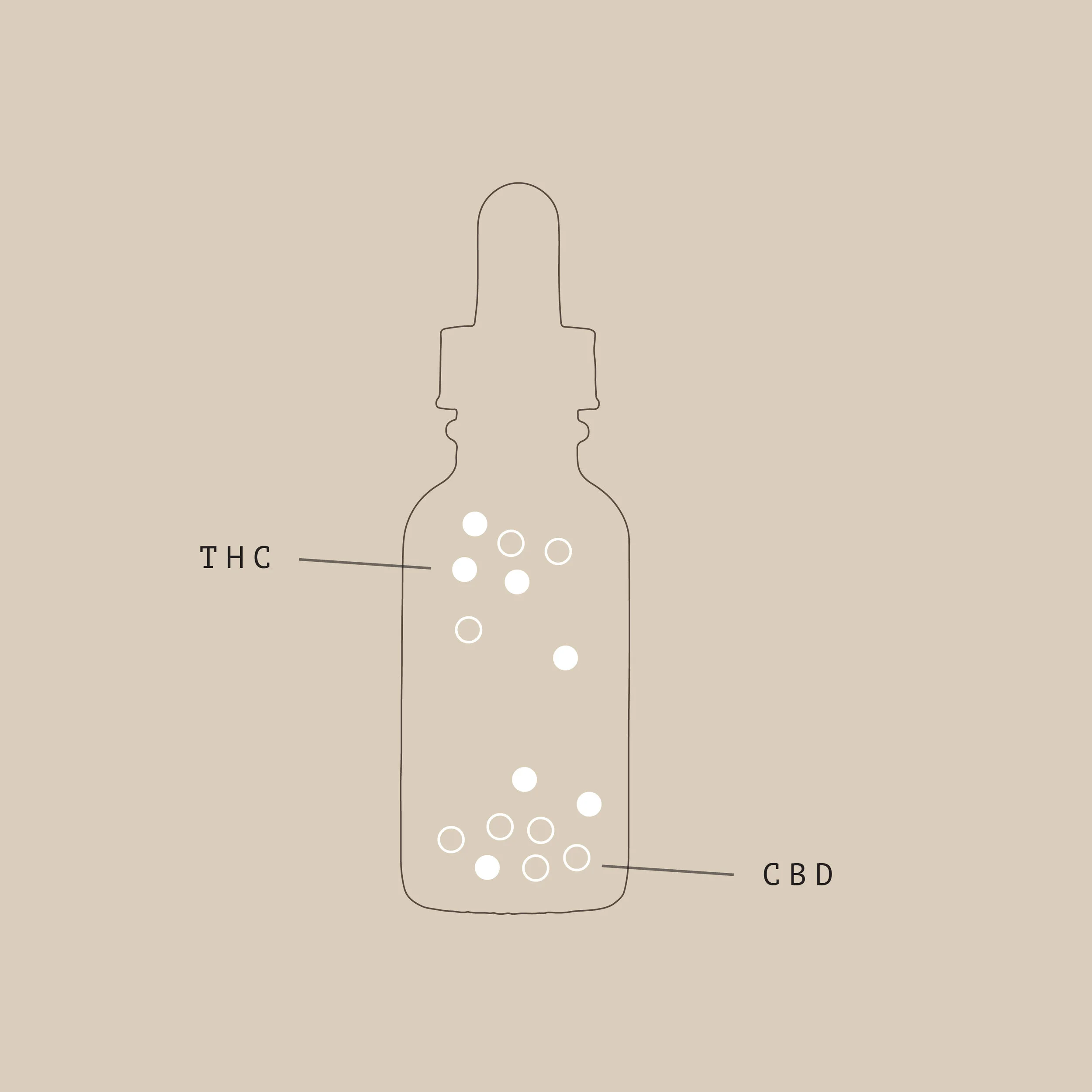 minimal infographicaenfleur.jpg