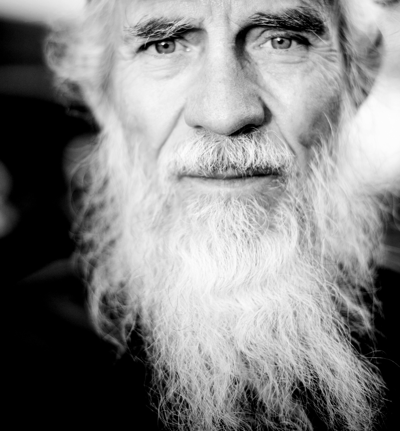 Gray Beard