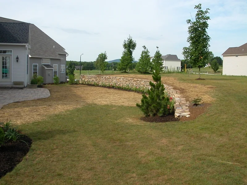 Misc 2 (2)-089.jpg