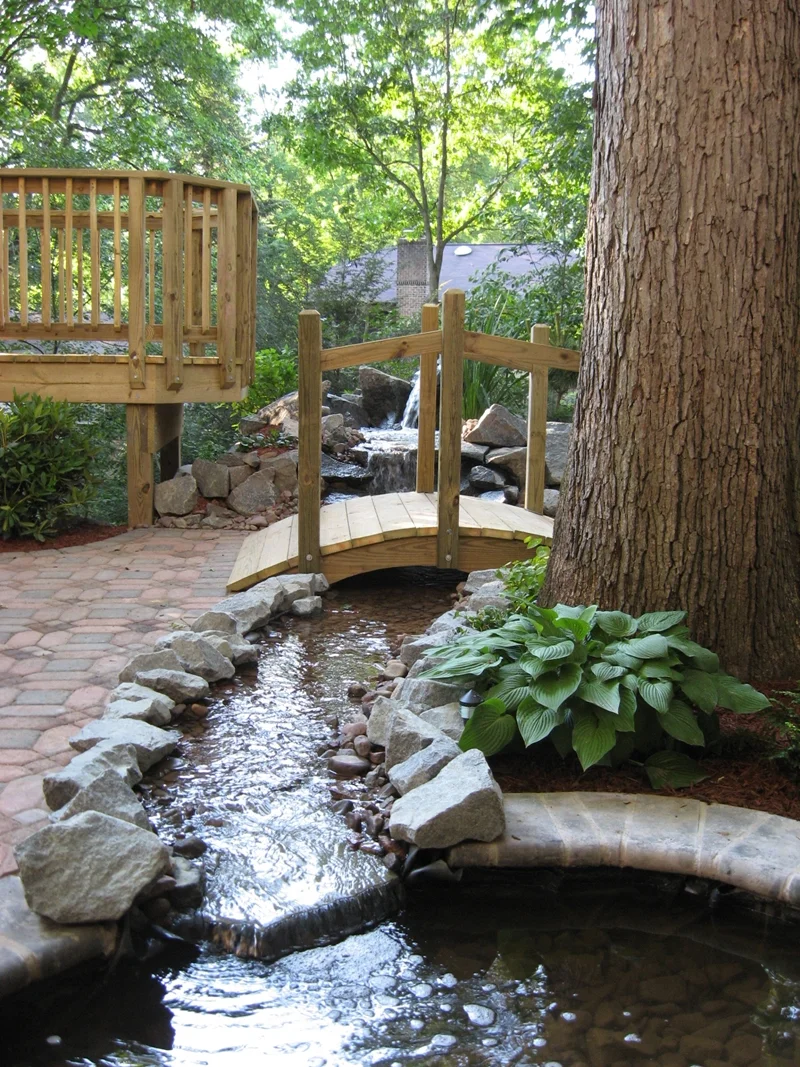 Schultz Pond-146.jpg