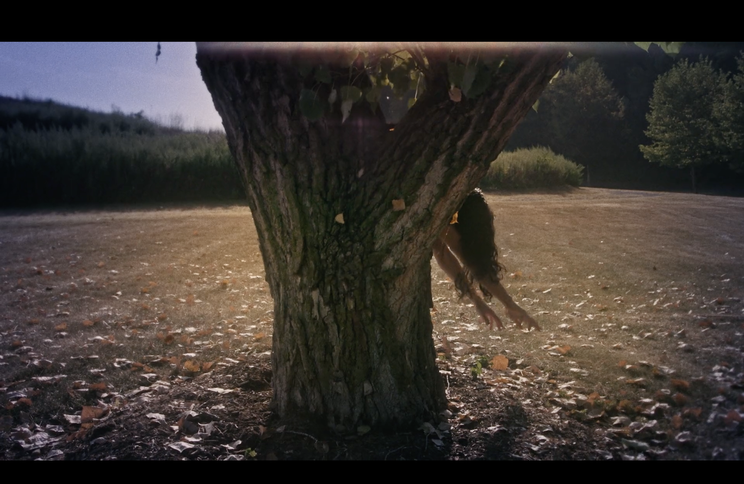 lâcher-prise (let go)