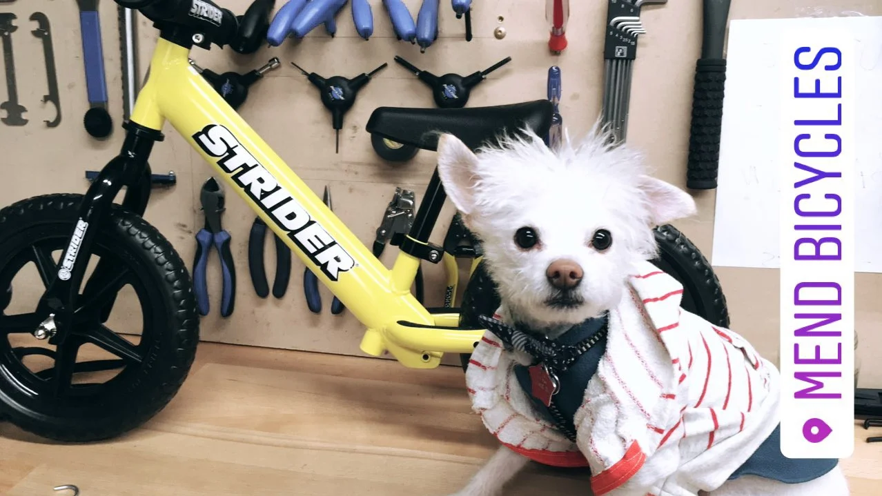 We are here to help riders of every size and experience level!