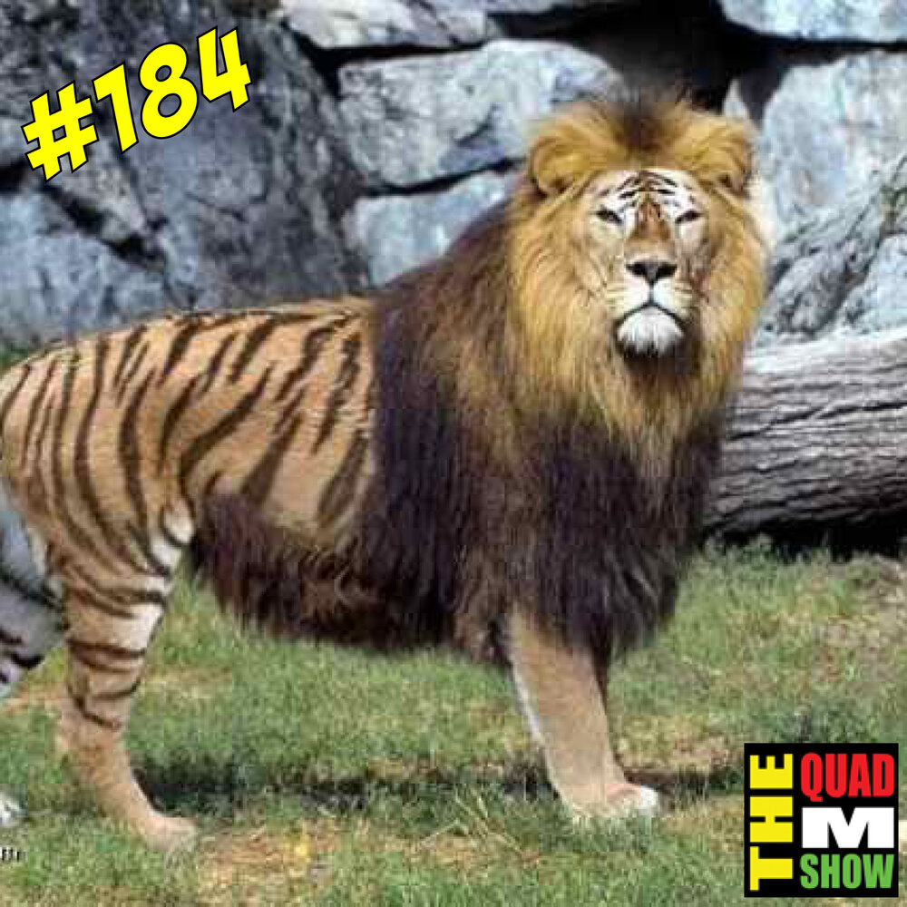 ep184.jpg