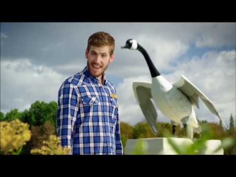 Northern Credit Union Commercial