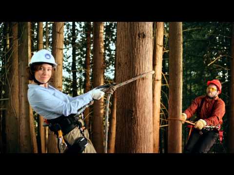 Northern Credit Union TV - Going South