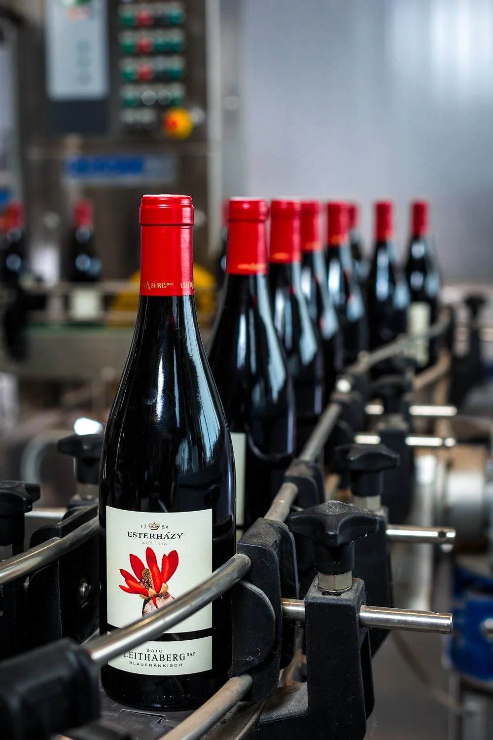 weingut-esterhazy-eisenstadt-rotwein-weisswein-wein-13.jpg