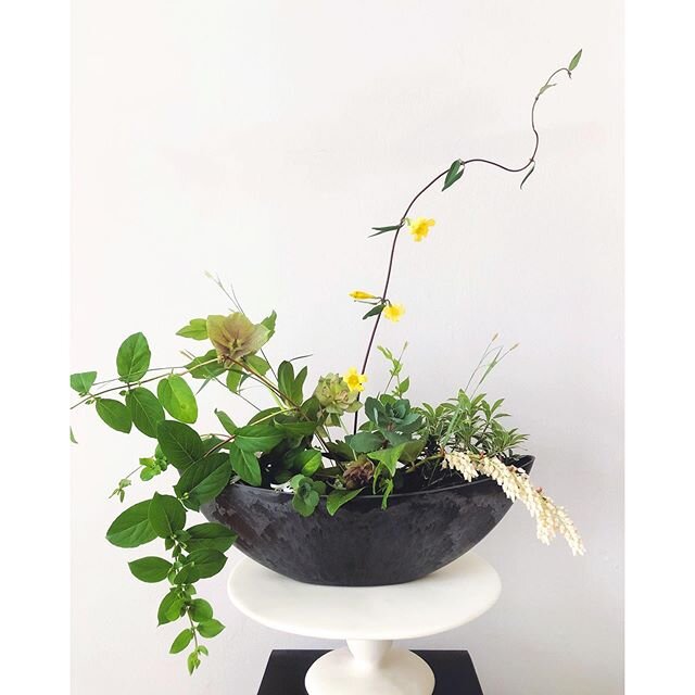 This arrangement created from backyard foraging today! Has anyone else found it helpful to mark the passage of time right now with the coming and going of blossoms and flowers? It was cherry blossoms when this began, then the dogwoods, followed by ea