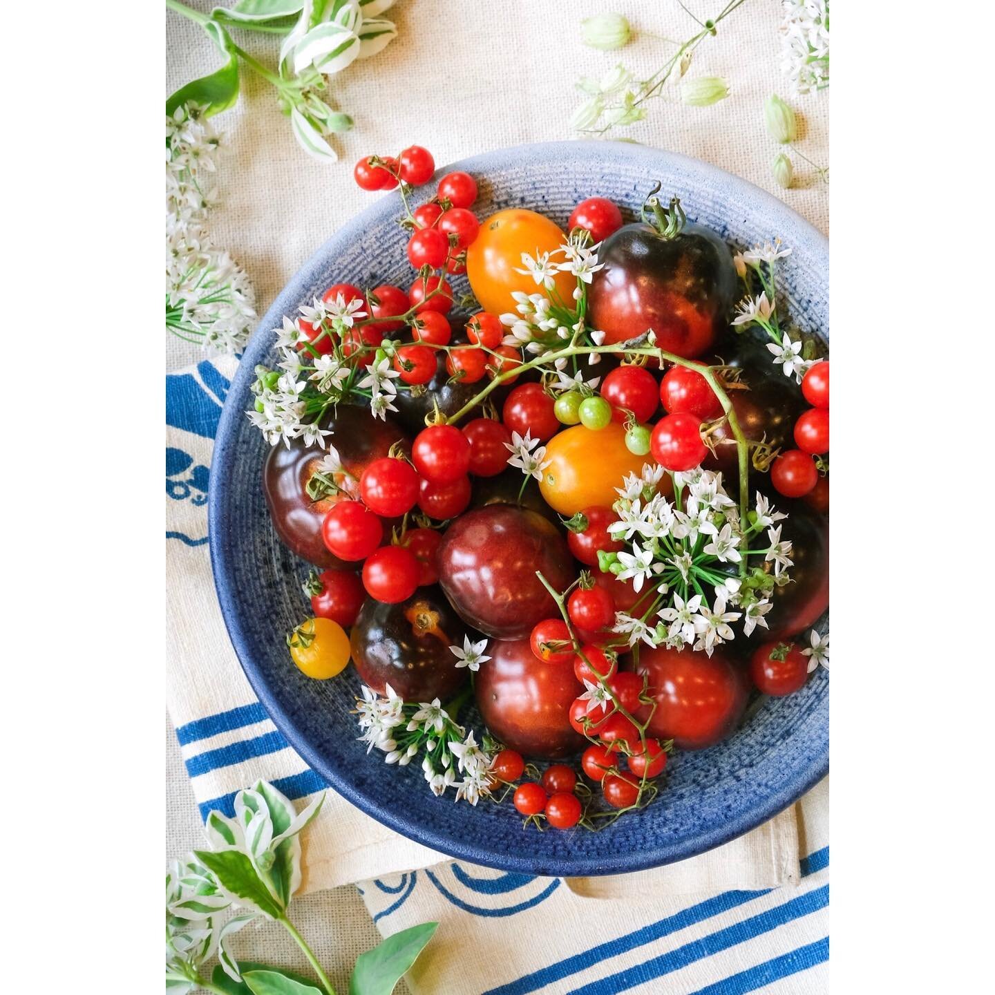 Finding a unique calm in creating beauty. These tomatoes and chive blossoms came from two different farm stands plus the Burlington Farmers Market. The florals I foraged roadside. This beautiful striped blue linen I found at an antique store in Montp