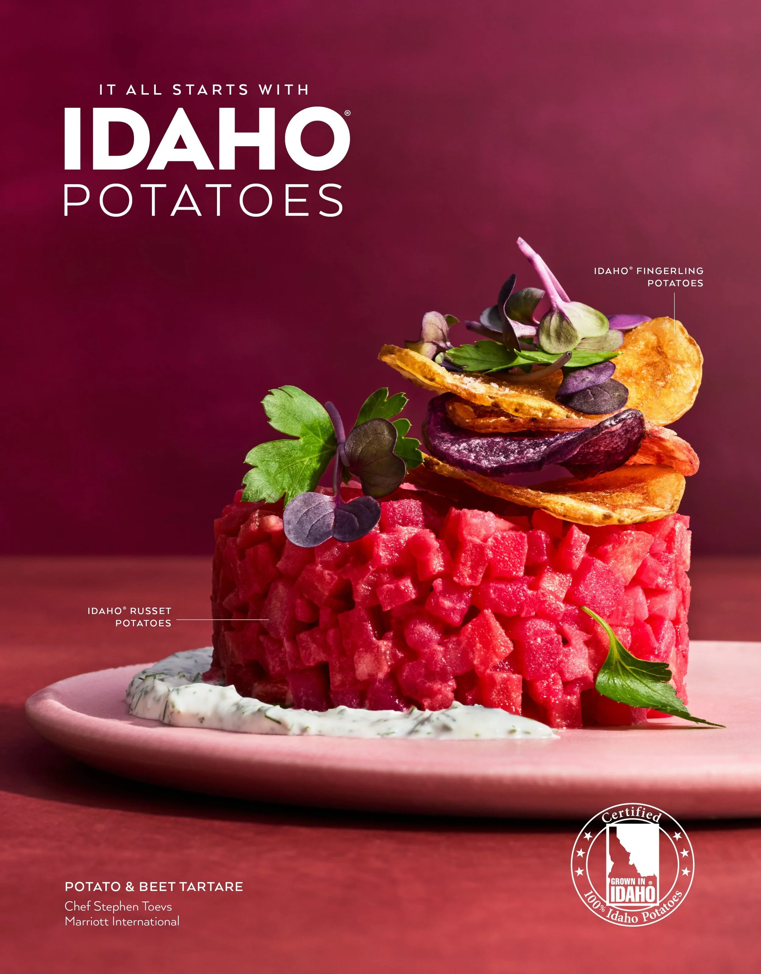 IPC T0001 ItStartsWith_Tartare_web.jpeg