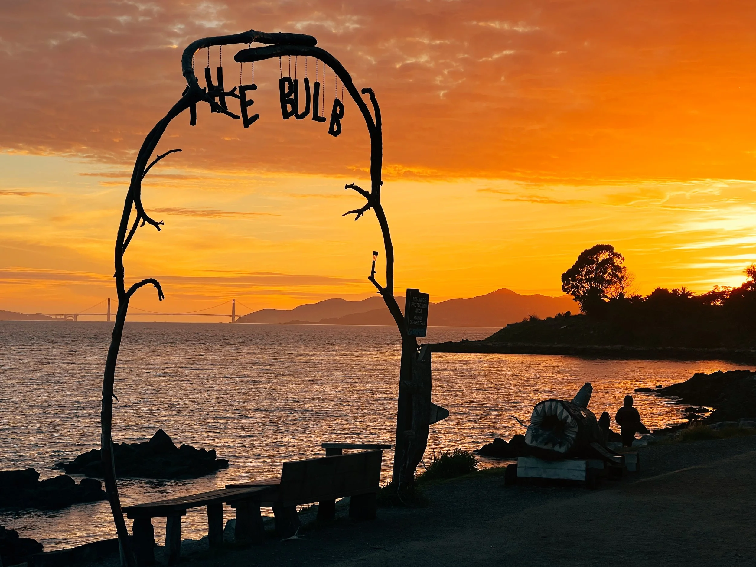 The Body + The Land: Bioregional Belonging at the Albany Bulb