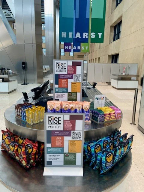 RISE impulse display 1.0.jpg