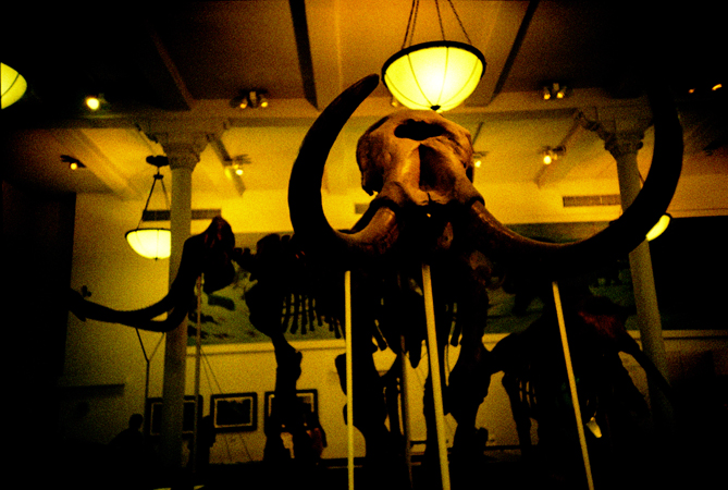 nyLomo2010.06_0020.jpg