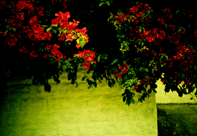 nola.lomo2012.03_0031.jpg