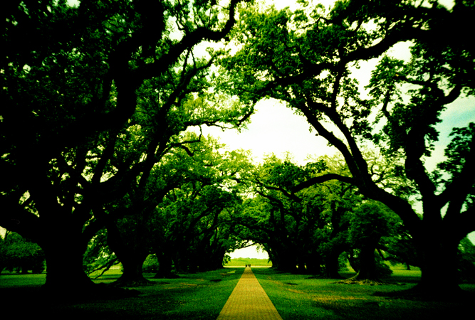 nola.road2013_0009.jpg