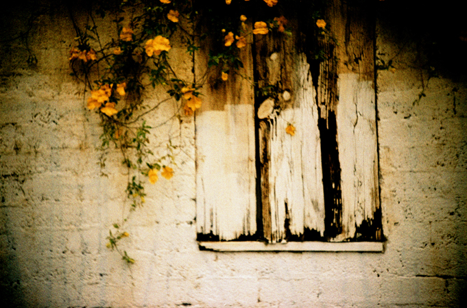 nola.road2013_0024.jpg