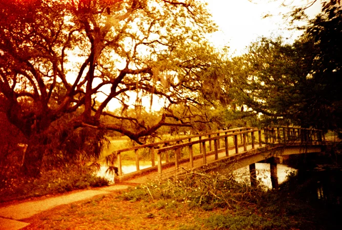 nola2013_0264.jpg