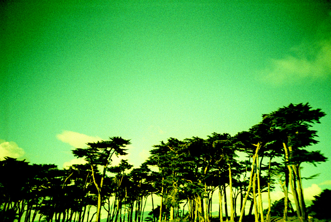 sf.lomo2011_0007.jpg