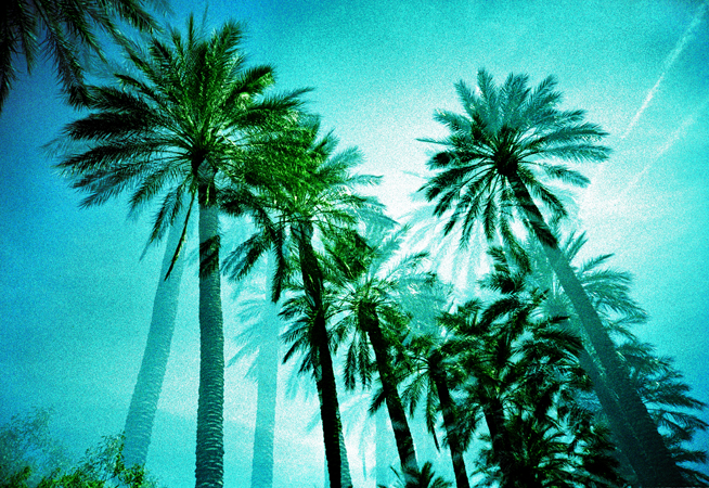 VegasLomo5_0019.jpg