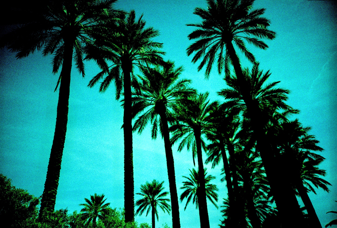 VegasLomo5_0025.jpg