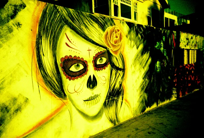 cali.lomo2011_0017.jpg