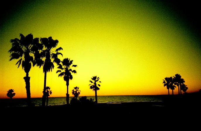 cali.lomo2011_0031.jpg