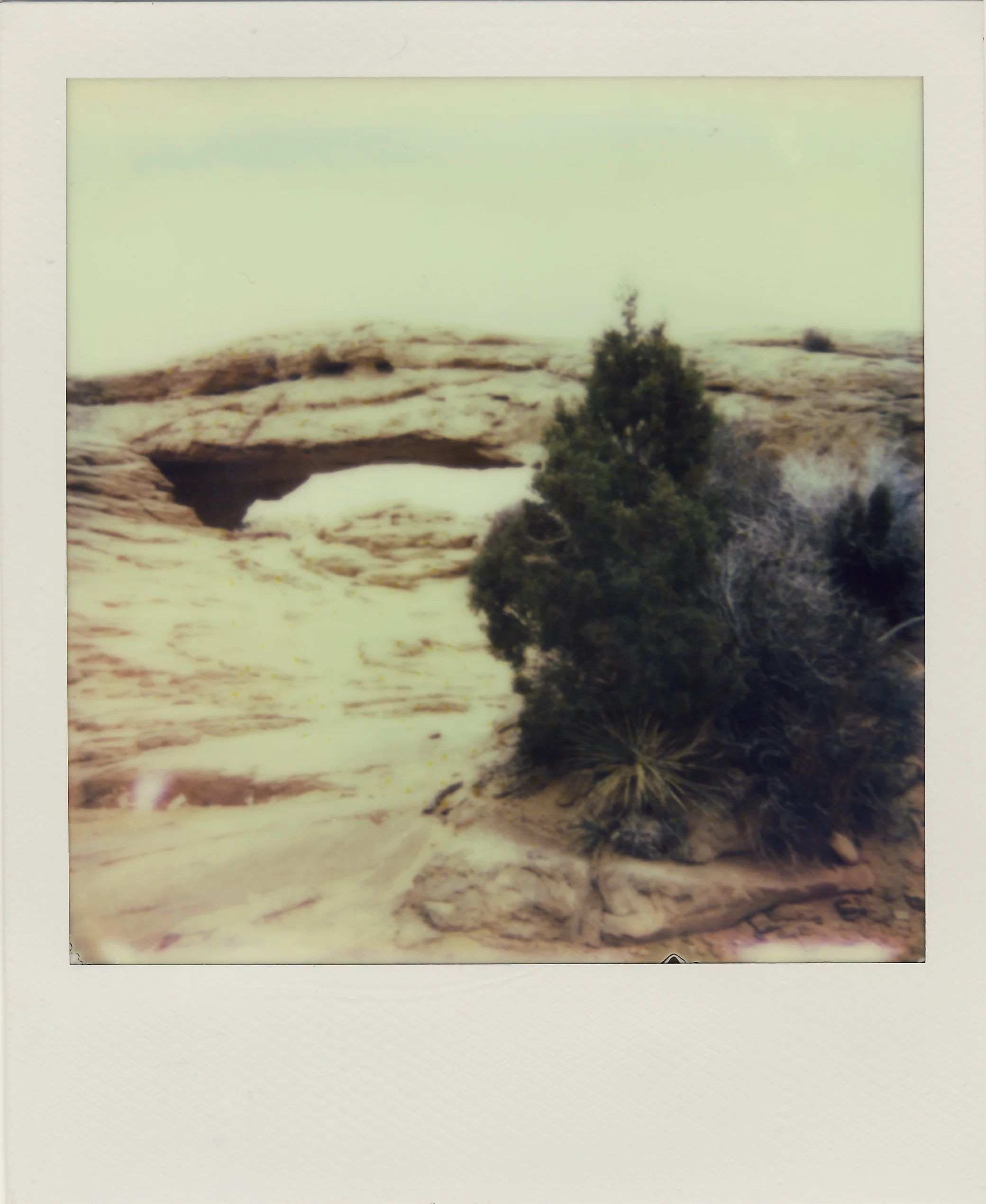04CanyonLandNP_02.jpg