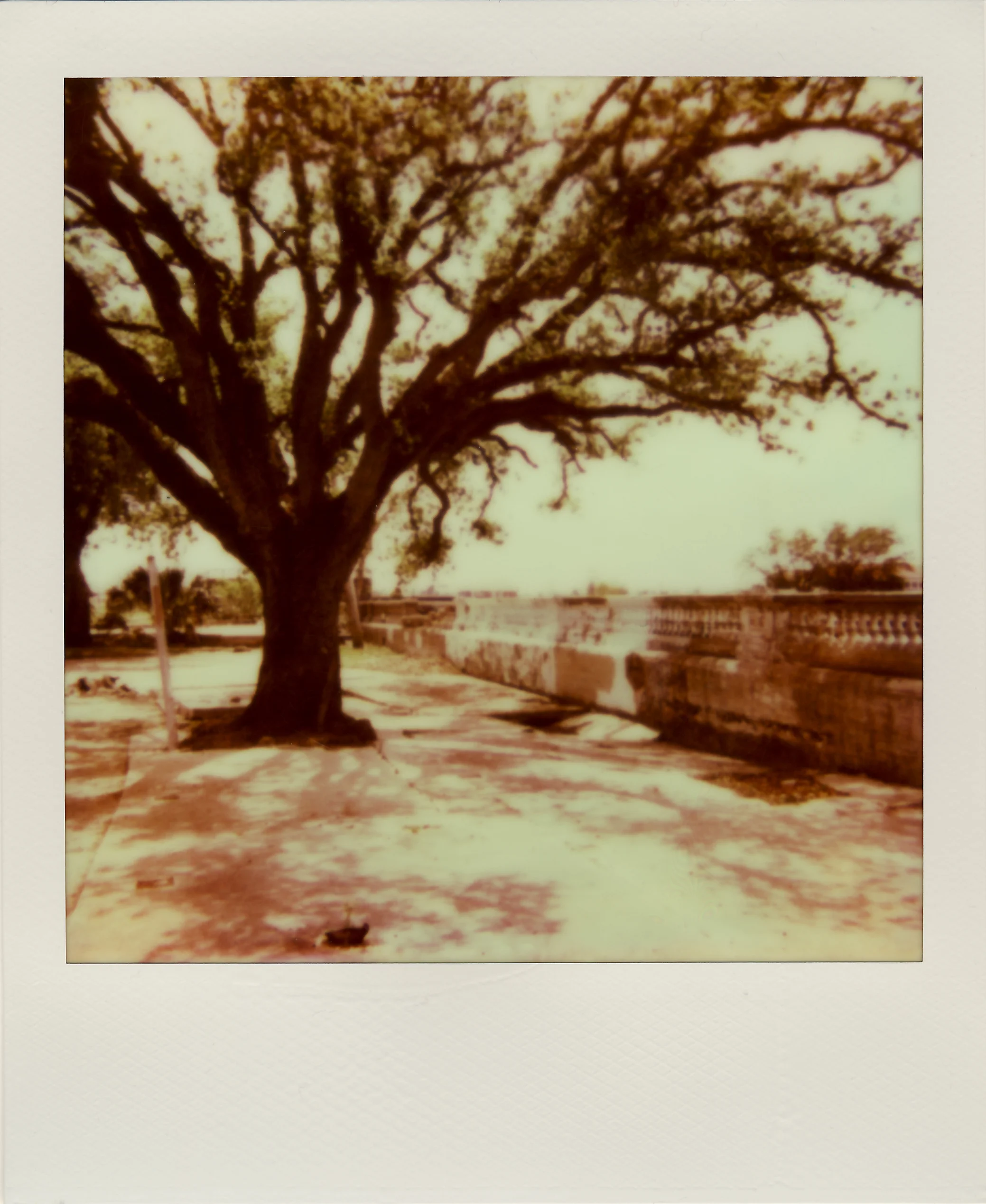 16Nola_06.jpg