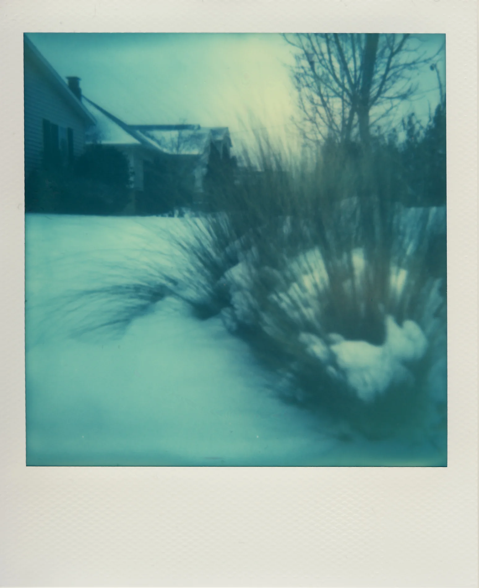 portlandSnow01.jpg
