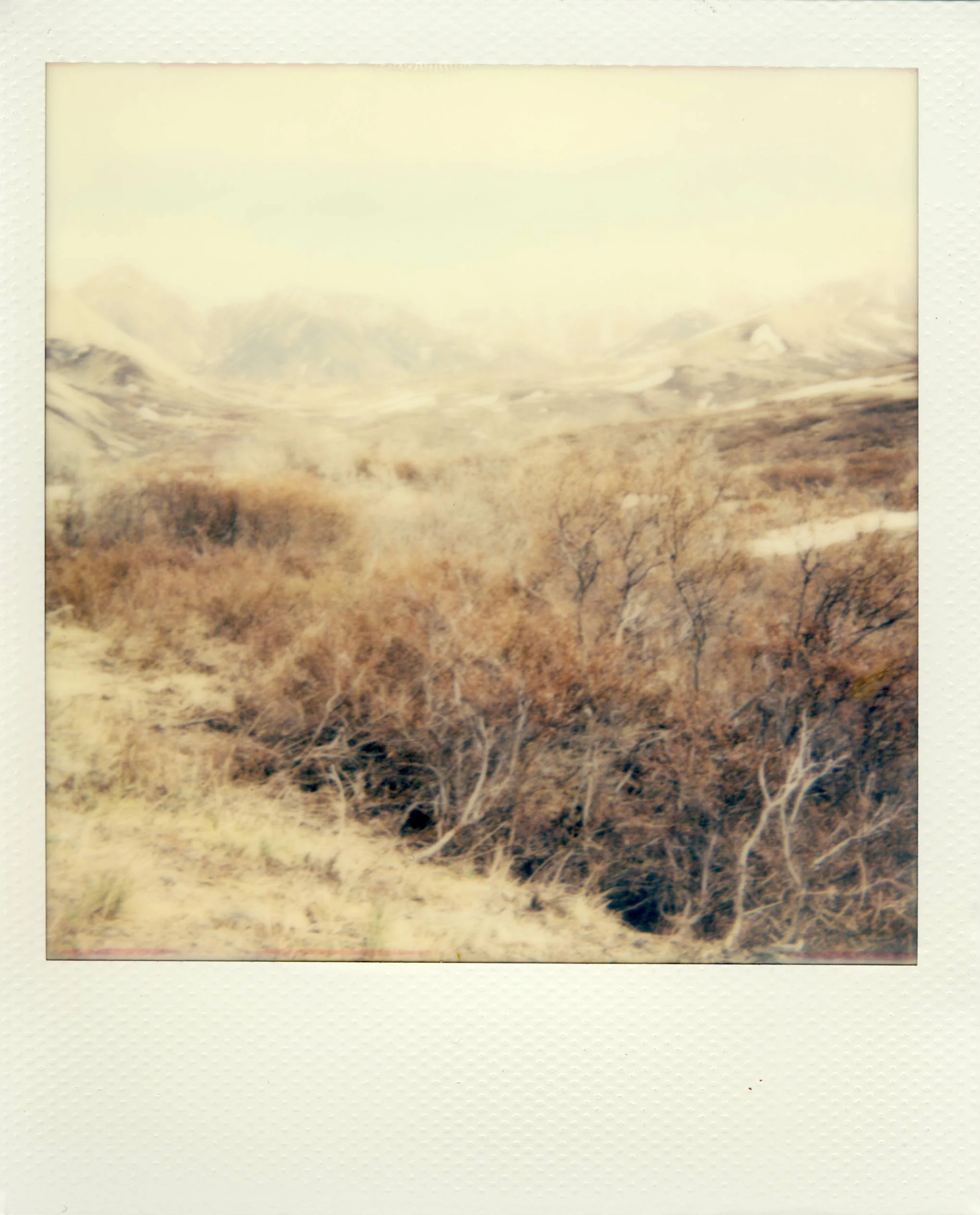 03DenaliNPS.jpg