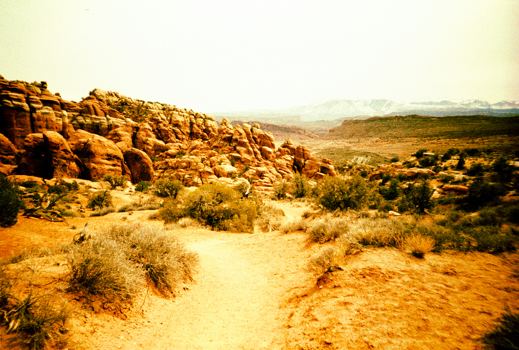 road2013_0058.jpg