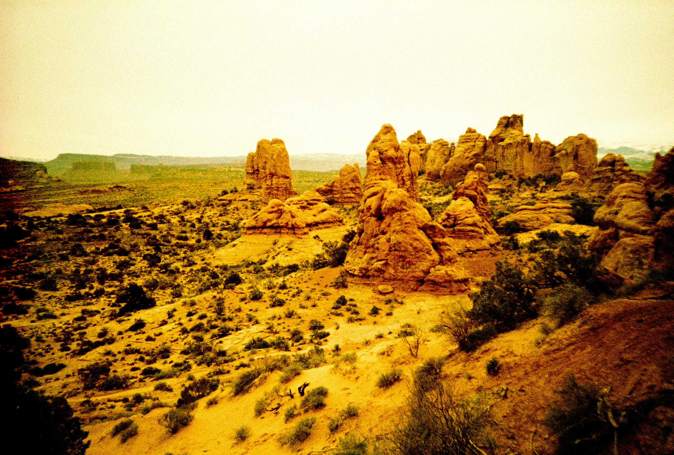 road2013_0080.jpg
