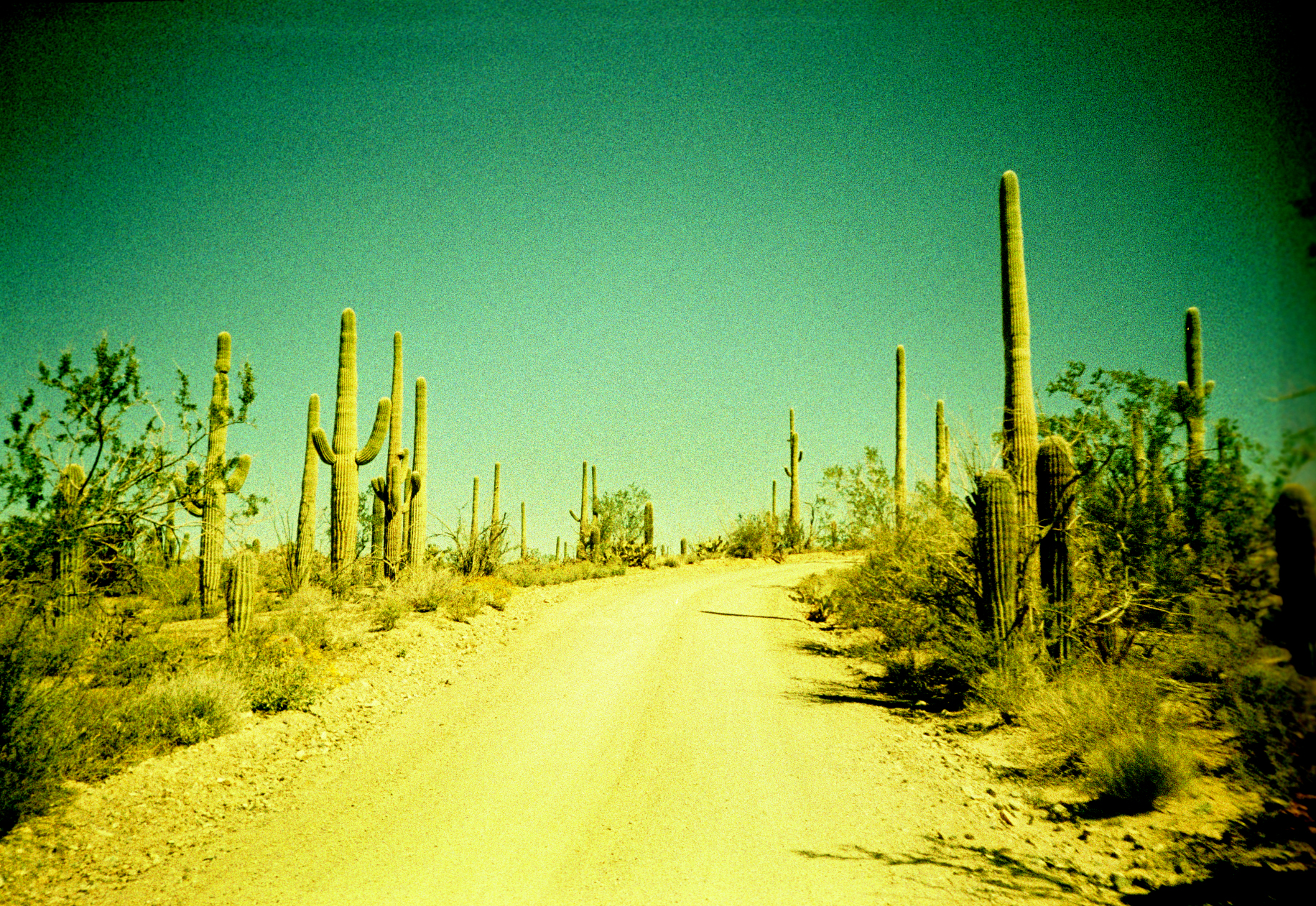 snp.lomo2012.03_0009.jpg