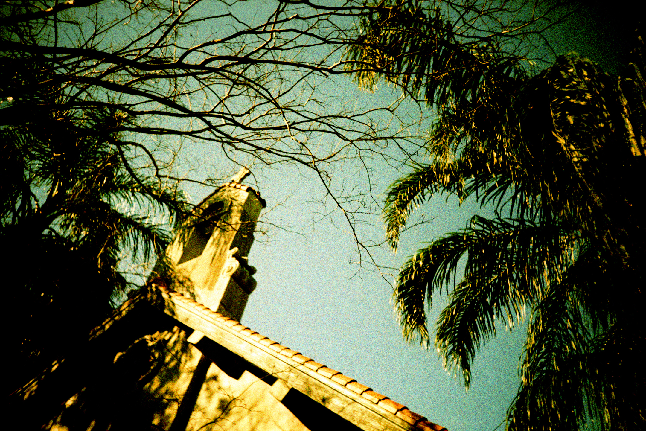 nola2013_0189.jpg