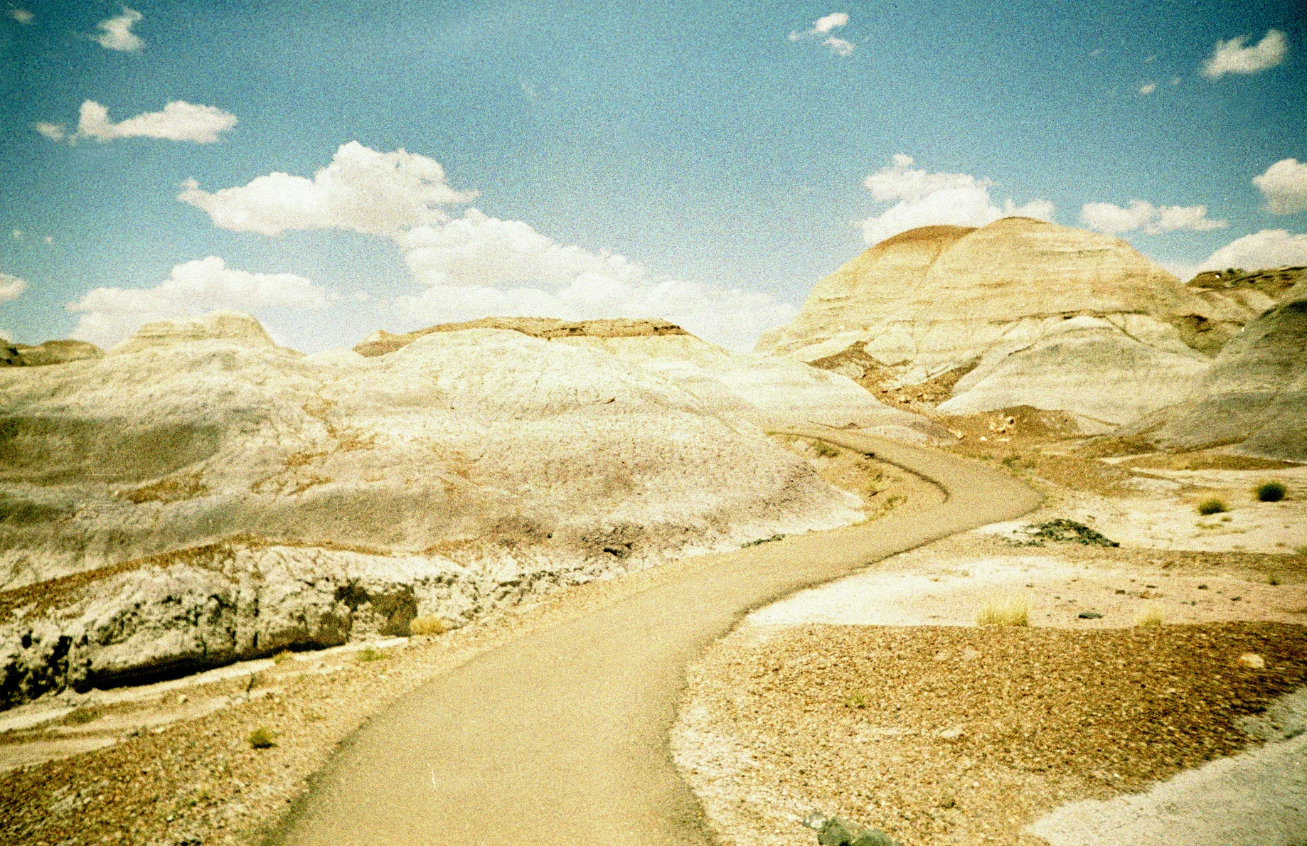 roadtrip.lomo2012.05_0032.jpg