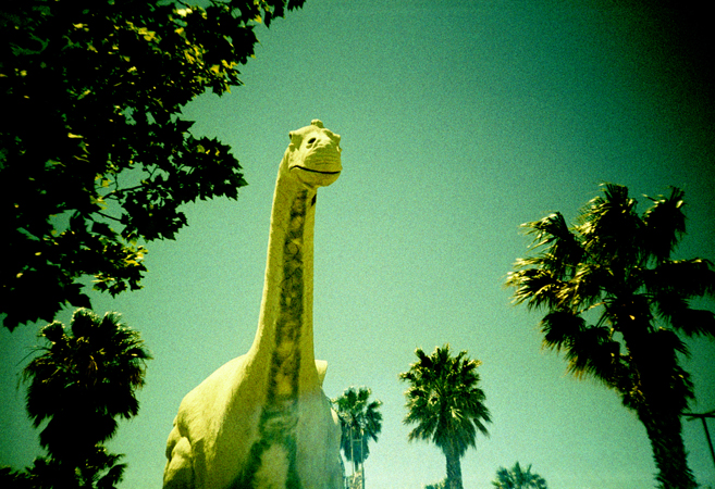 gooniesPalms2011_0030.jpg